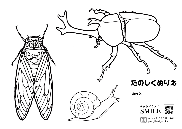 昆虫ぬりえプレゼント いたばし印刷 名刺デザイン相談無料 いたばし印刷