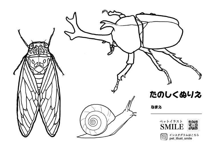 【印刷可能】 昆虫 ぬりえ