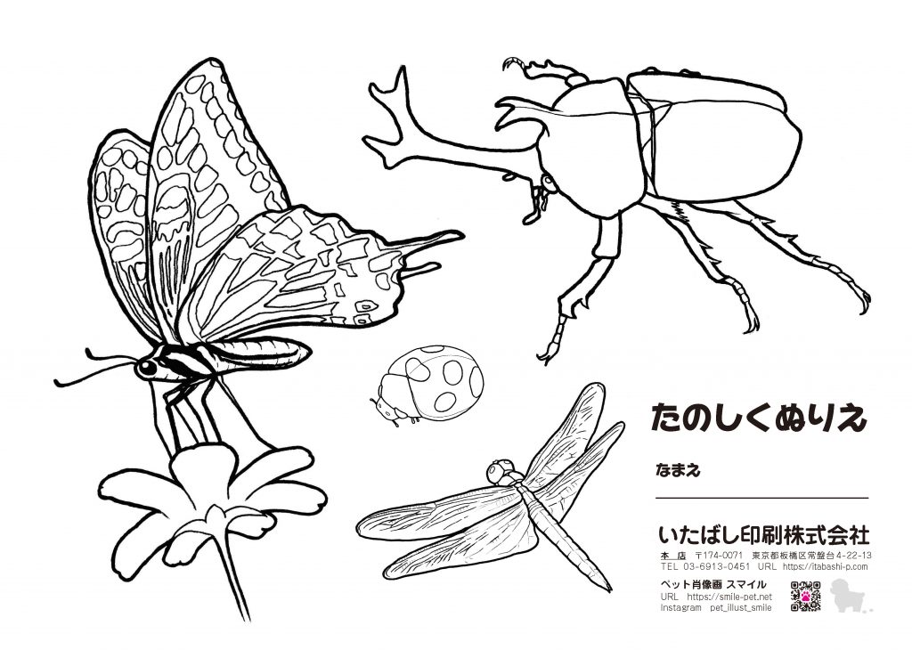 【ほとんどのダウンロード】 昆虫 塗り絵